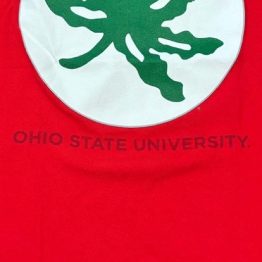 Gildan The Ohio State University T-Shirt Red Men's S OSU Buckeyes Heavy Cotton